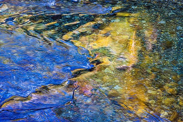 Coloured Reflections In The River Passer Merano Photo Imagebroker