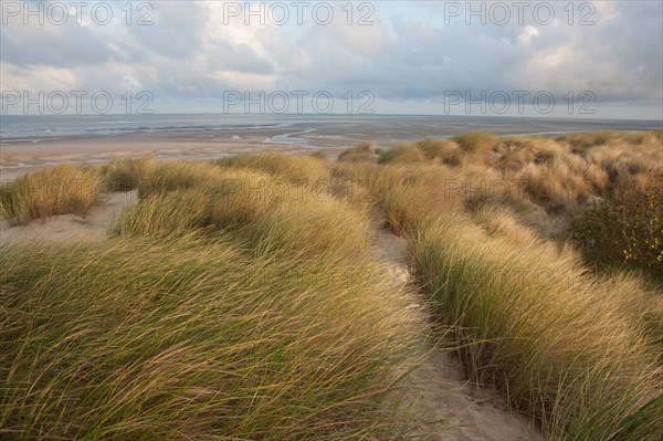 Le Touquet Paris Plage Dunes Au Dessus De La Plage Gilles Targat Photo12