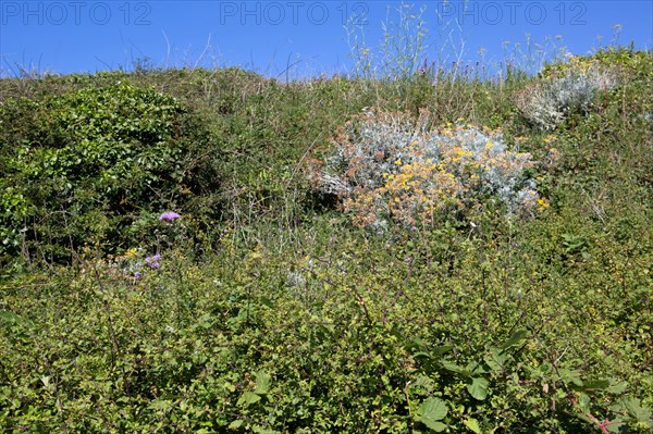 Pleneuf Val Andr Chemin Des Douaniers Gilles Targat Photo