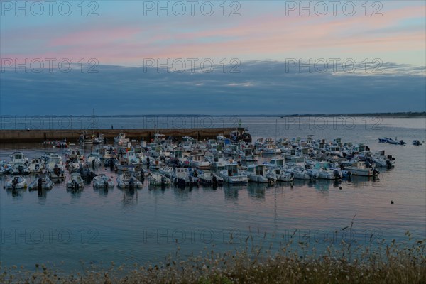 Pointe De Tr Vignon South Tip Of Finist Re Gilles Targat Photo