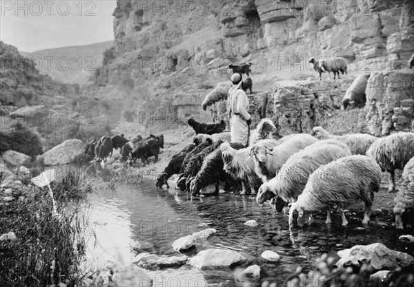 Image Of Shepherd Life Shepherds And Their Sheep Illustrating The