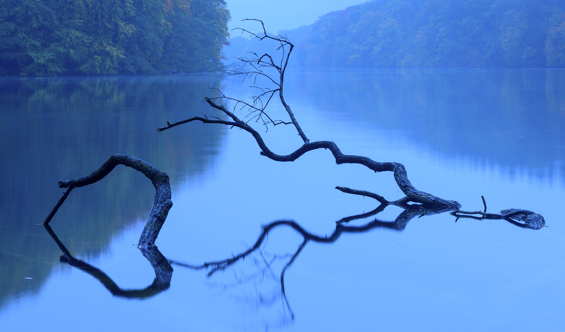 View of the lake Schmaler Luzin in the Feldberger Seenlandschaft in autumn at the blue hour