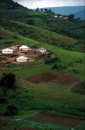 Zulu homesteads at Umbumbulo