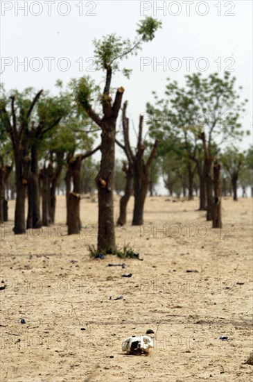 El Geneina in West Darfur on June 10, 2004. (Photo by Christine Nesbitt)