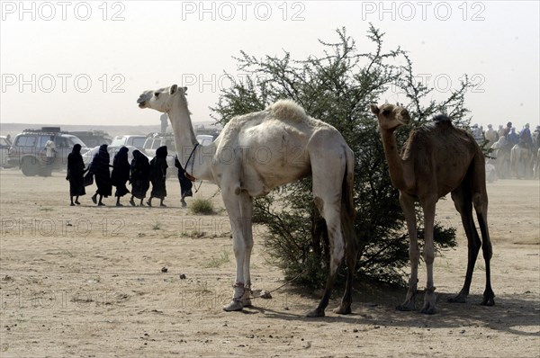 Niger