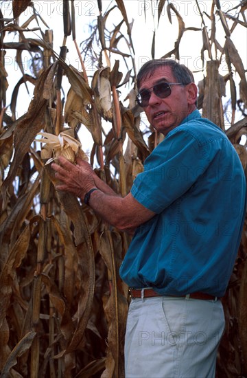 a farmer diplays his mielies