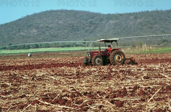 Zimbabwean agricultural production 2