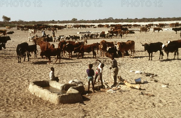 Cattle Post  Hand dug well
\n