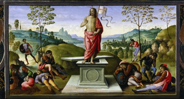 PERUGINO