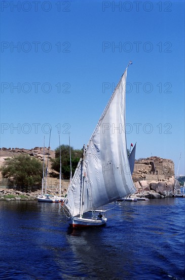 Feluccas on the Nile, Elephantine Island near Aswan