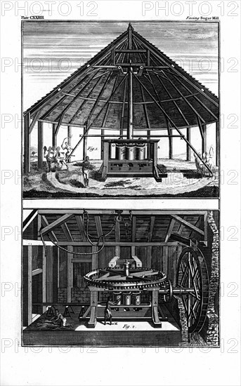 Mule-powered sugar mill with vertical rollers