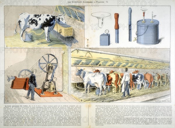 Milking parlour equipped with Thistle suction