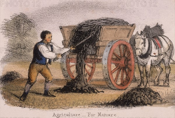 The manure cart