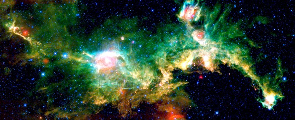 The Seagull nebula