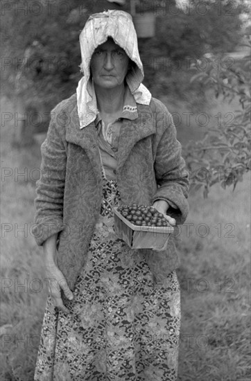 Migrant worker in the American Great depression, 1939