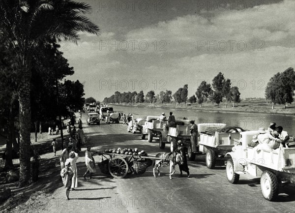 Photograph of military vehicles moving forward to the battle areas in Egypt