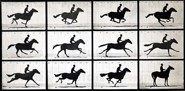 Horse in Motion by Eadweard Muybridge