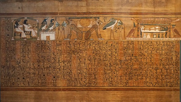 Partial of the Book of the Dead of Any