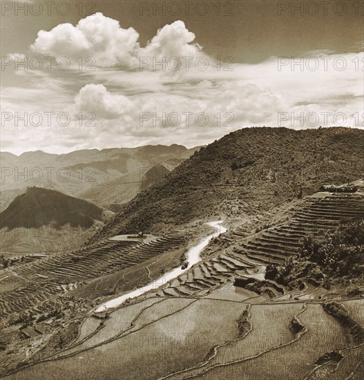 Aerial view of terraced fields and roadway in China