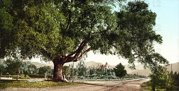 California by the Detroit Photographic Co. Orange Grove Avenue, Pasadena