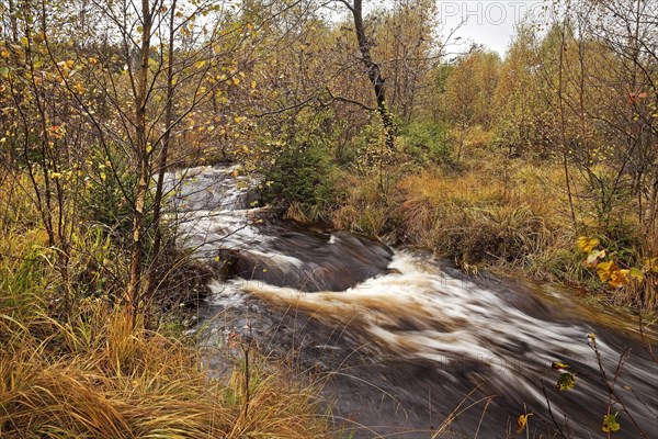 Creek in autumn