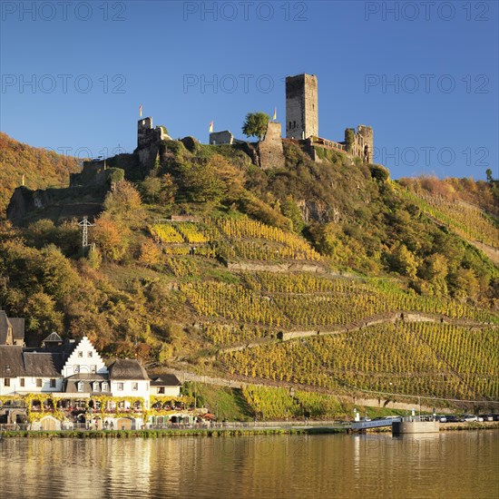 Ruins of Metternich Castle with vineyard