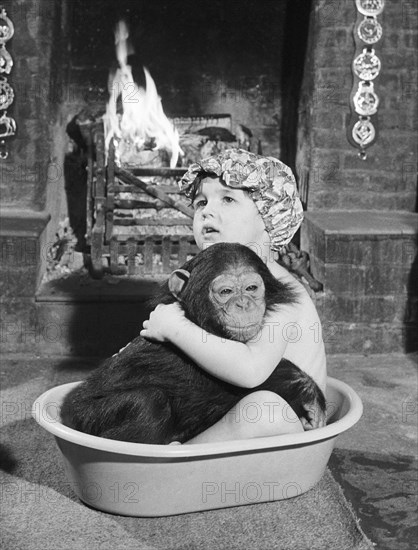 Chimpanzee bathes with girl