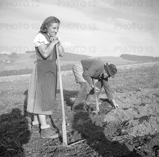 Field worker