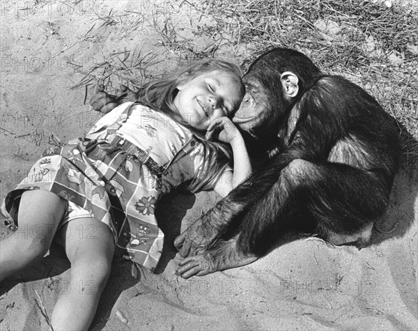 Girl and chimpanzee cuddling on the beach