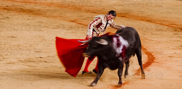 Bull with Matador