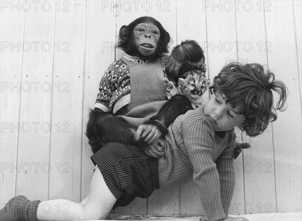 Child carries chimpanzee and baby lion on his back