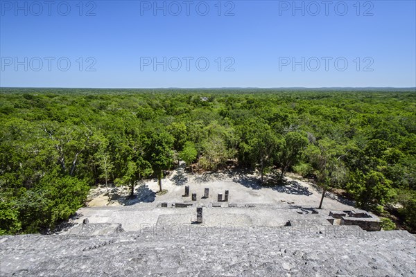 Stelae at Mayan city of Calakmul