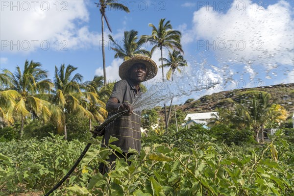 African farmer irrigaties field