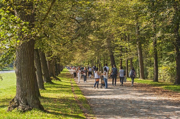 Visitors walk through linden avenue