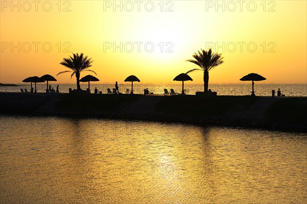 Sunset with water reflection from palm trees and sunshades