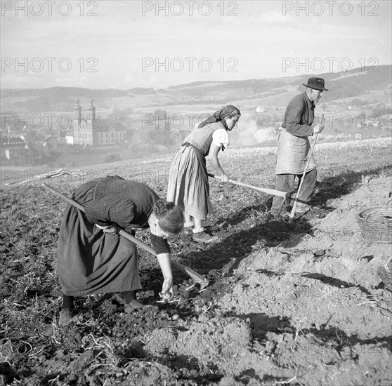 Field worker