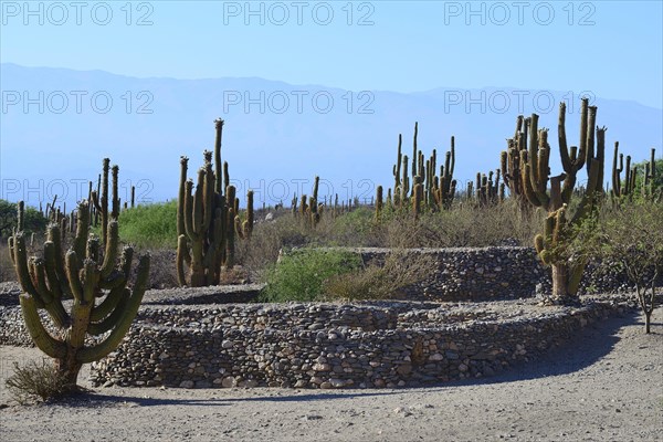 Ruins of Quilmes