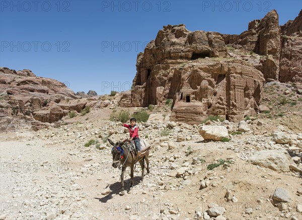 Little boy on a donkey