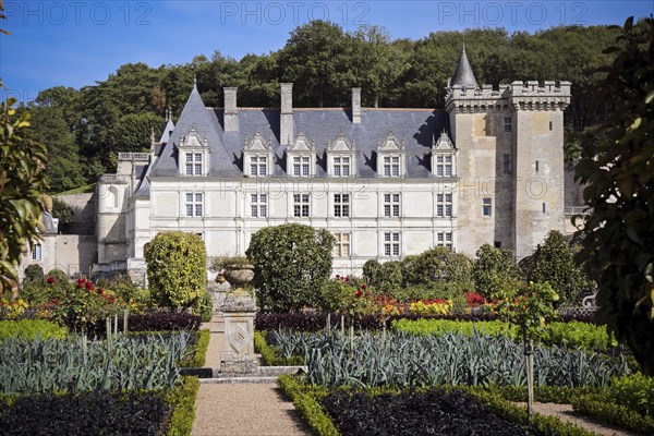 Villandry Castle