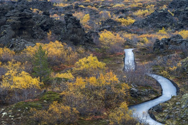 Autumnal vegetation with hiking trail