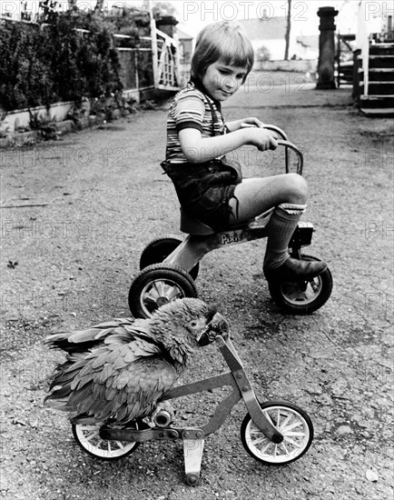 Parrot and boy ride a bicycle