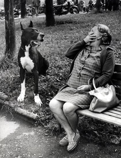 Woman frightened in front of Great Dane ca. 1970s