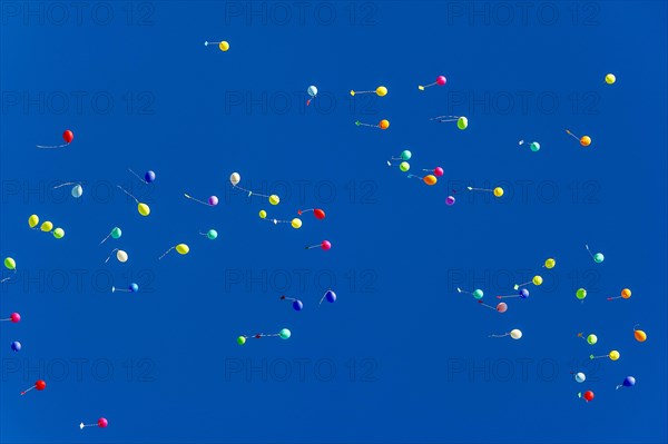 Colorful balloons rise to the sky