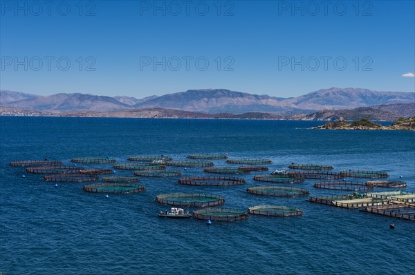 Fishfarm in Kassiopi