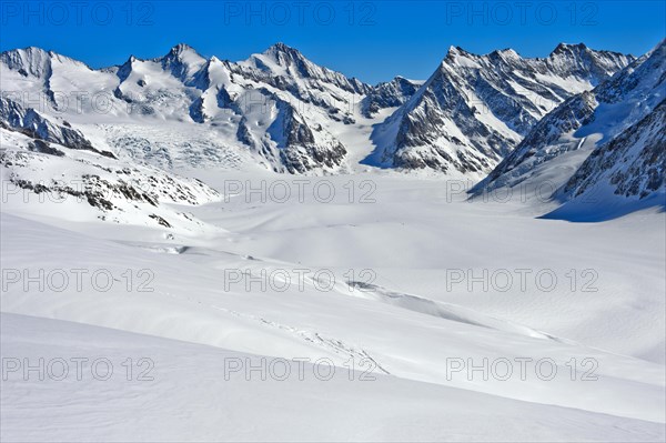 View from the Lotschenlucke over the snow-covered Grosser Aletschfirn towards Konkordiaplatz and the Bernese Alps