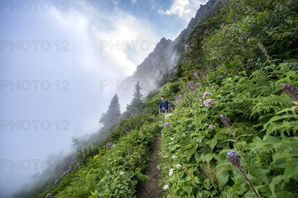 Hiker on hiking trail