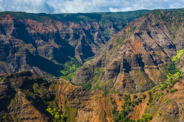 Aerial of the Waimea canyon