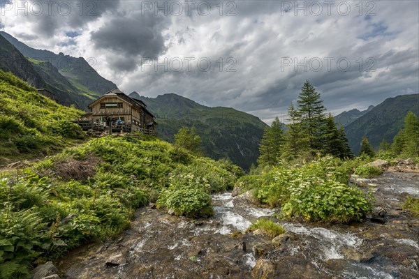 Gollinghutte at Steinriesenbach