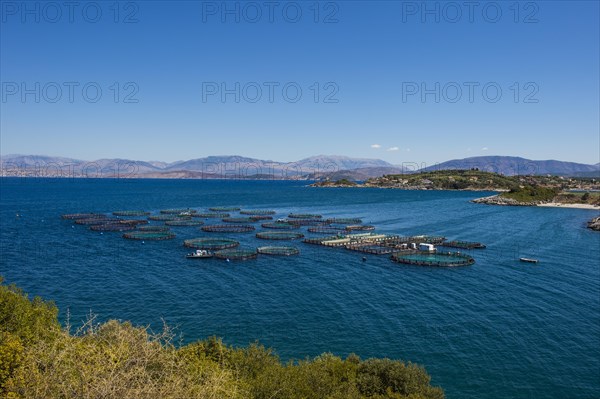 Fishfarm in Kassiopi