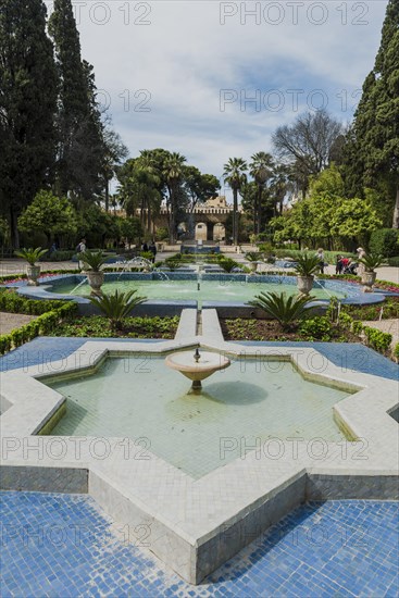 City park with fountain and flowers